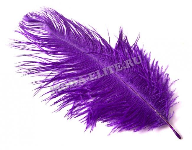 Перо страуса 20-25см (5шт) цвет:218-фиолет