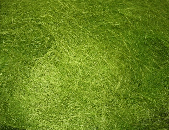 Сизаль - натуральное волокно (100гр) цвет:А021-св.зеленый