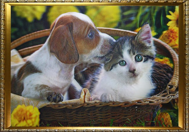 Картина 5D «Котенок и щенок в корзинке» 38*28см (1шт) цвет:14121