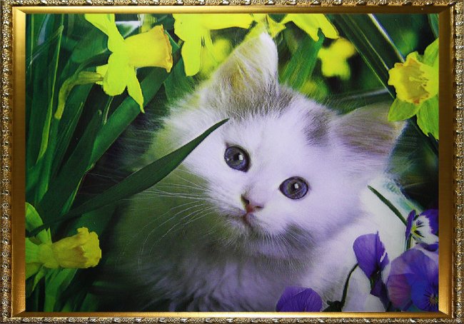 Картина 5D «Котенок в цветах» 38*28см (1шт) цвет:14167