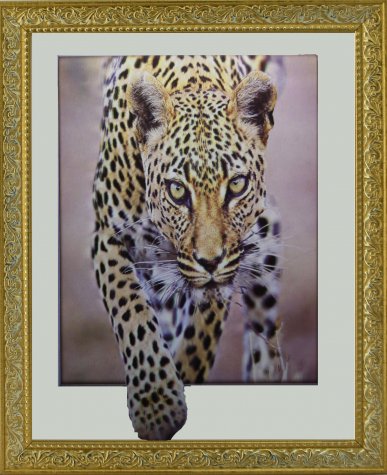 Картина 5D «Леопард» 38*38см (1шт) цвет:12489