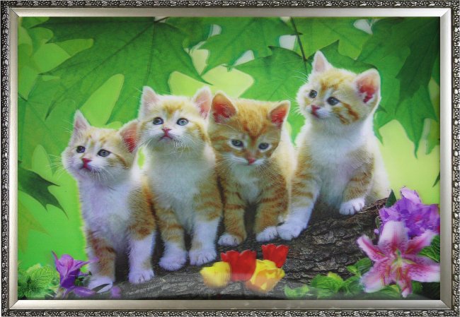 Картина 5D «Рыжие котята» 38*28см (1шт) цвет:14152