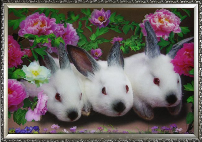 Картина 5D «Кролики» 38*28см (1шт) цвет:14138